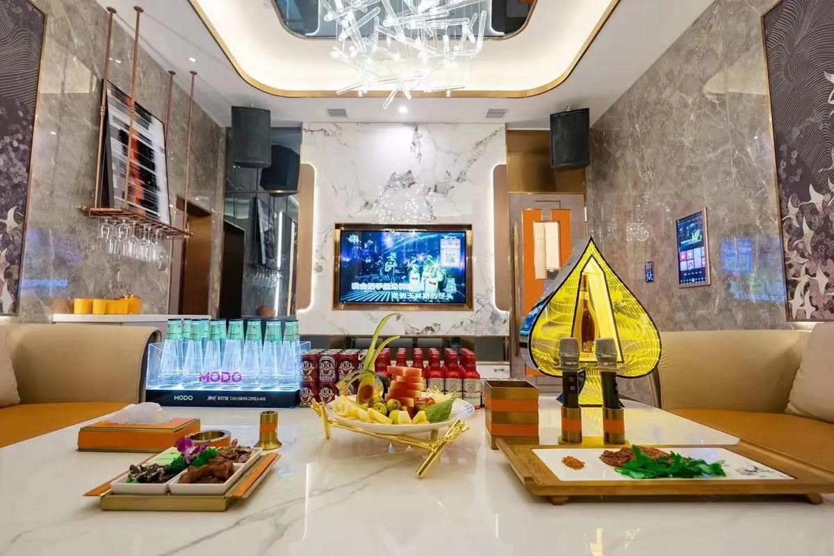 陇南商务KTV：商务休闲的不二选择-康县ktv预定